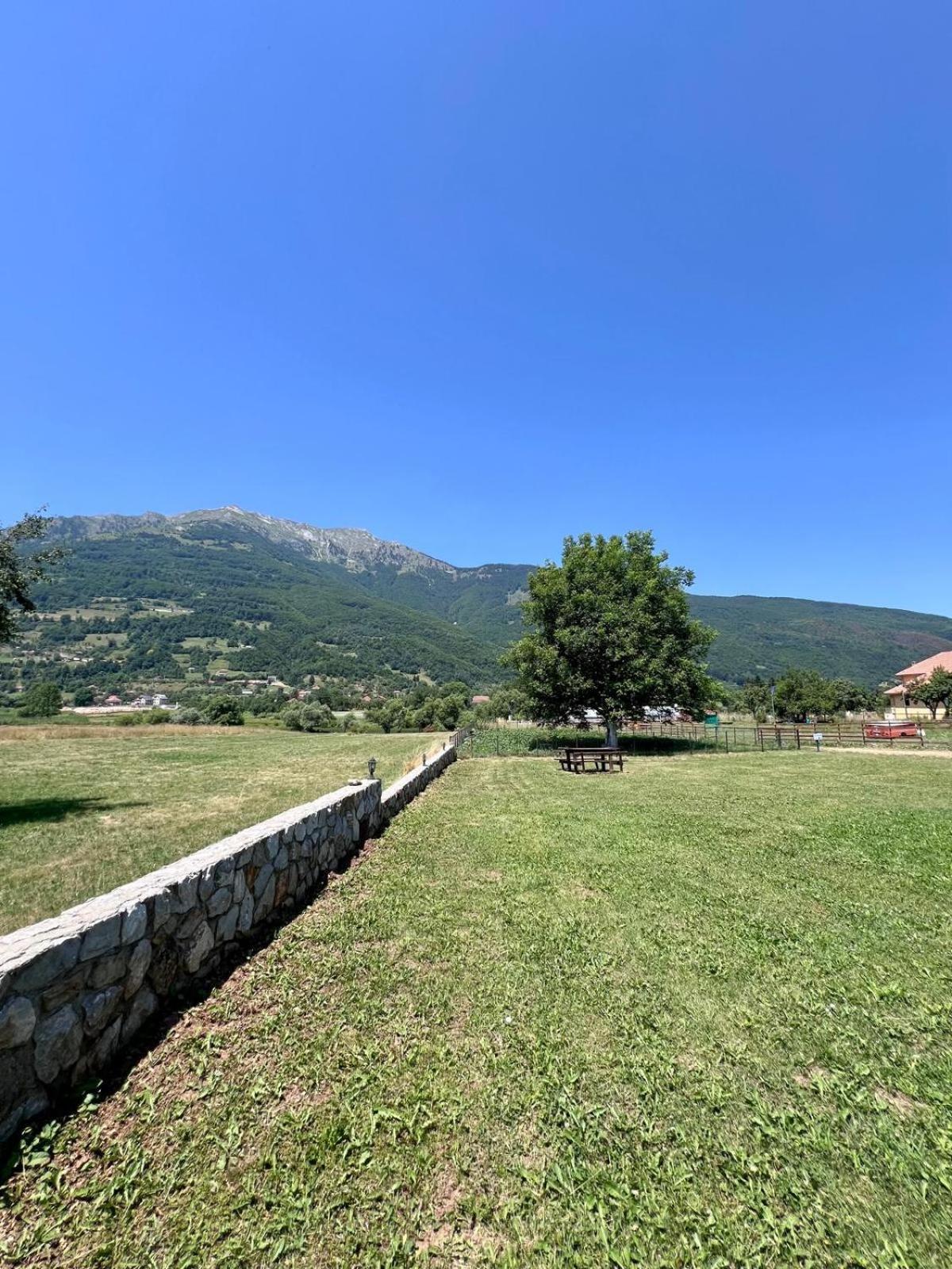Camp Hotel Lake Views Плав Екстер'єр фото